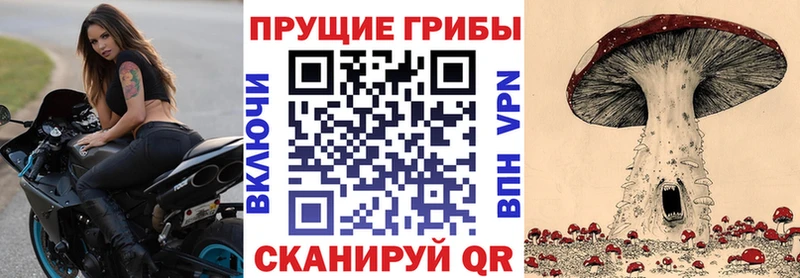 Псилоцибиновые грибы Psilocybe  Южа 